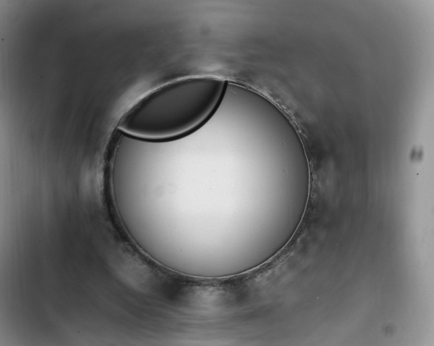 X0000102760344200808251034