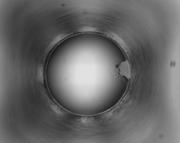 X0000102760345200808251034