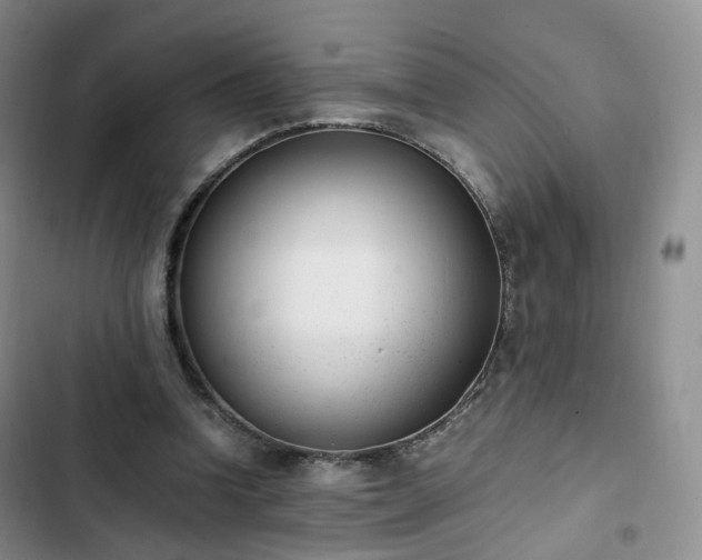 X0000102760346200808251034