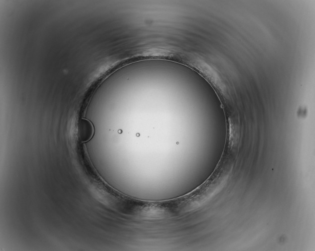 X0000102760348200808251034