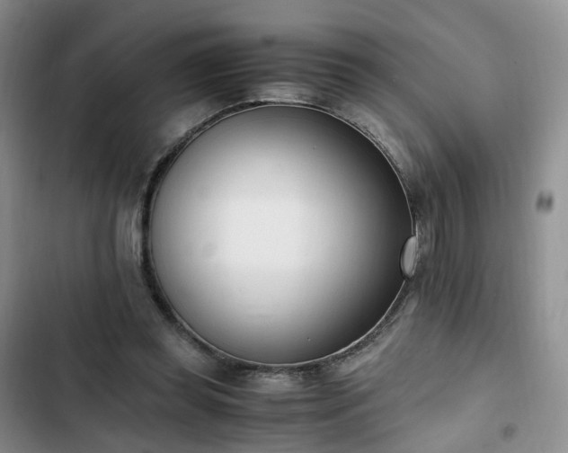 X0000102760349200808251034