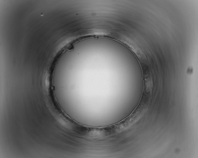 X0000102760350200808251034