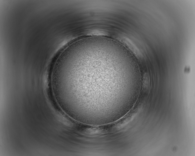 X0000102760351200808251034