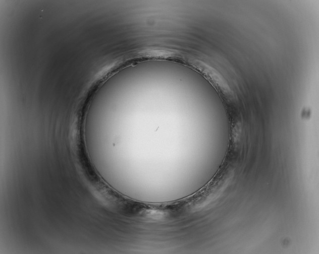 X0000102760352200808251034