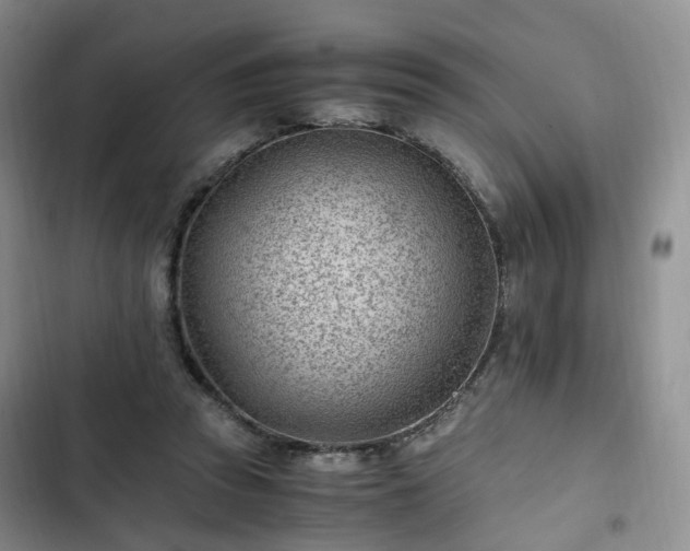 X0000102760353200808251034