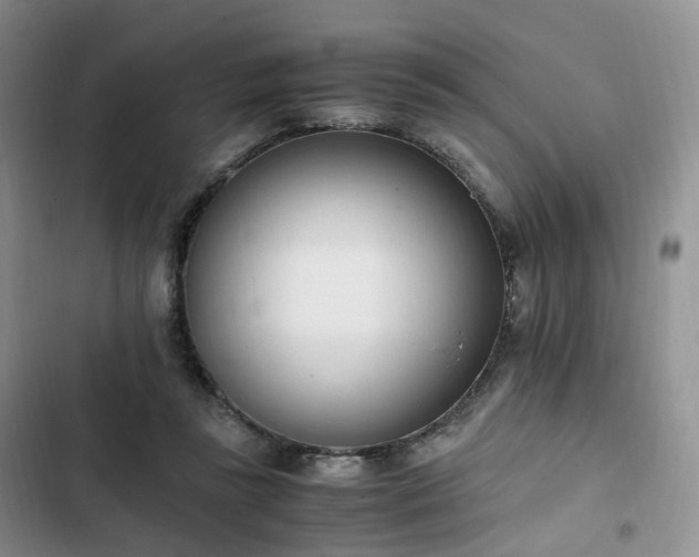 X0000102760355200808251034