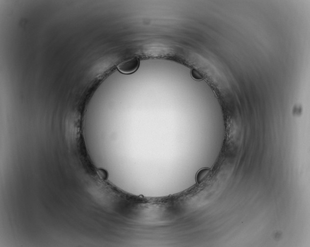 X0000102760356200808251034