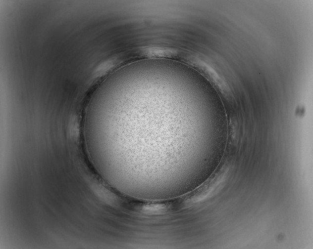 X0000102760357200808251034