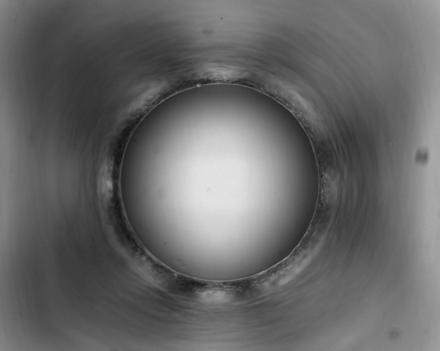 X0000102760358200808251034