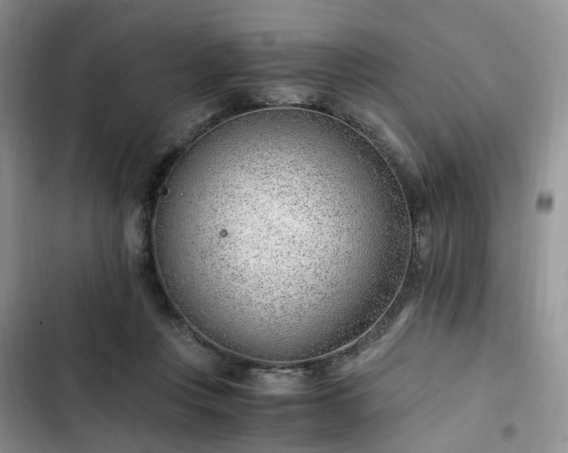 X0000102760359200808251034