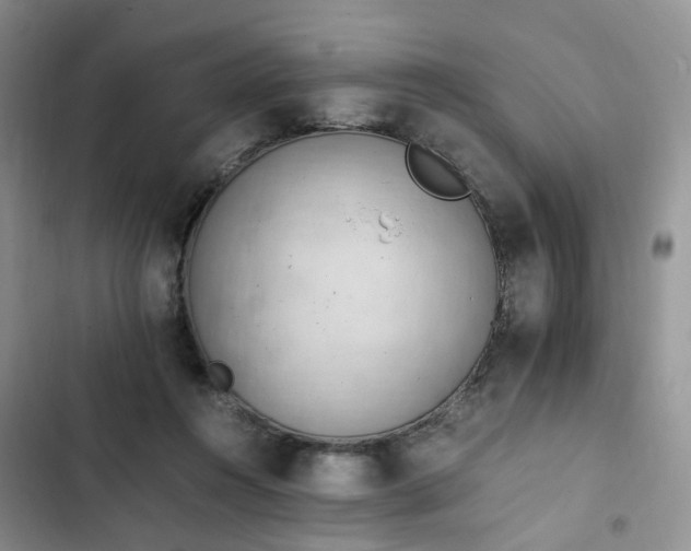 X0000102760360200808251034