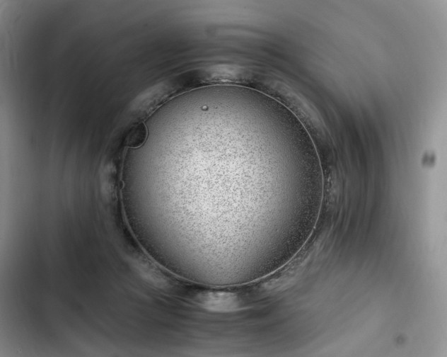 X0000102760361200808251034