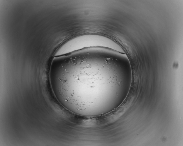 X0000102760362200808251034