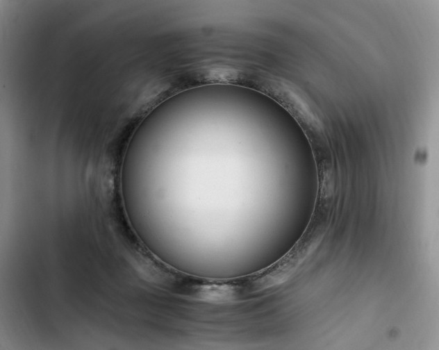 X0000102760363200808251034