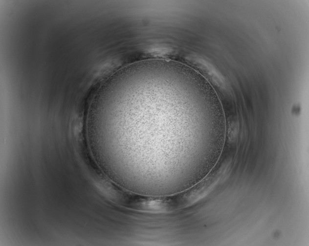 X0000102760365200808251034