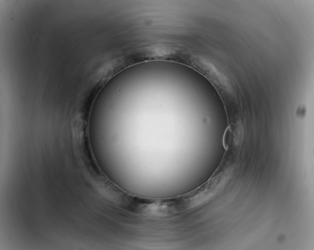 X0000102760366200808251034