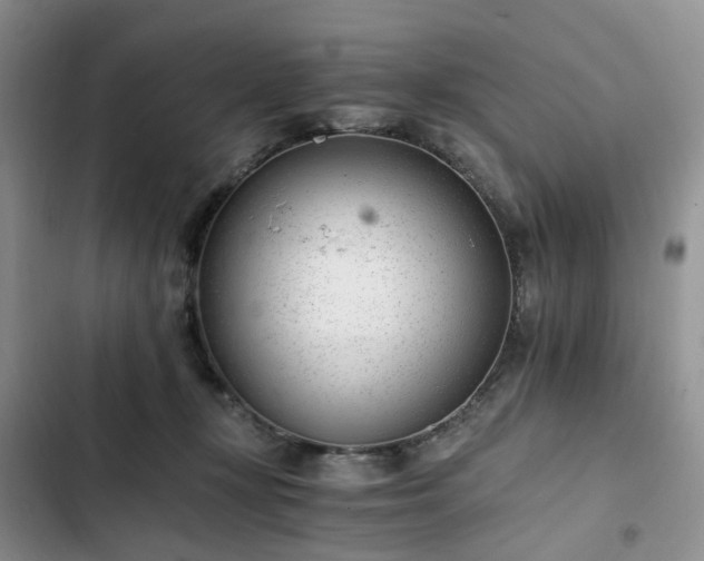 X0000102760367200808251034