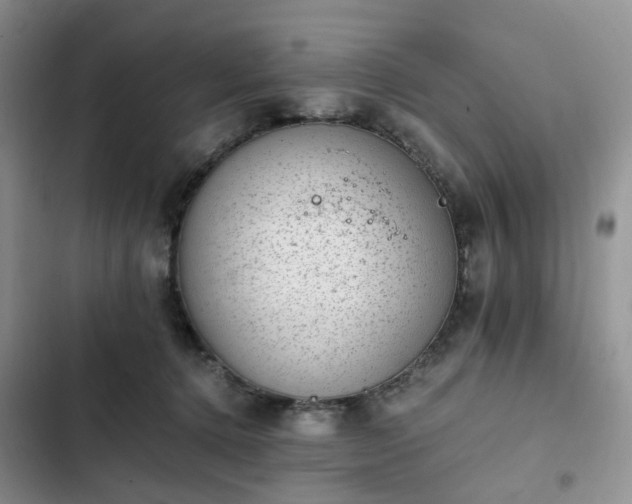 X0000102760368200808251034