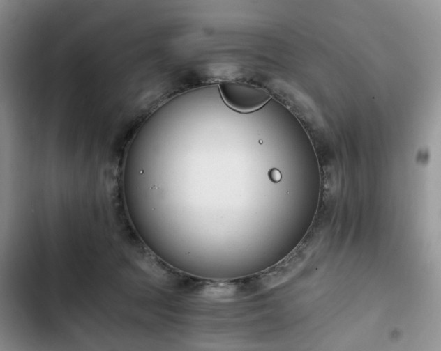 X0000102760369200808251034