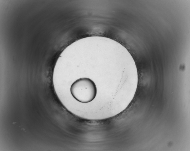 X0000102760370200808251034