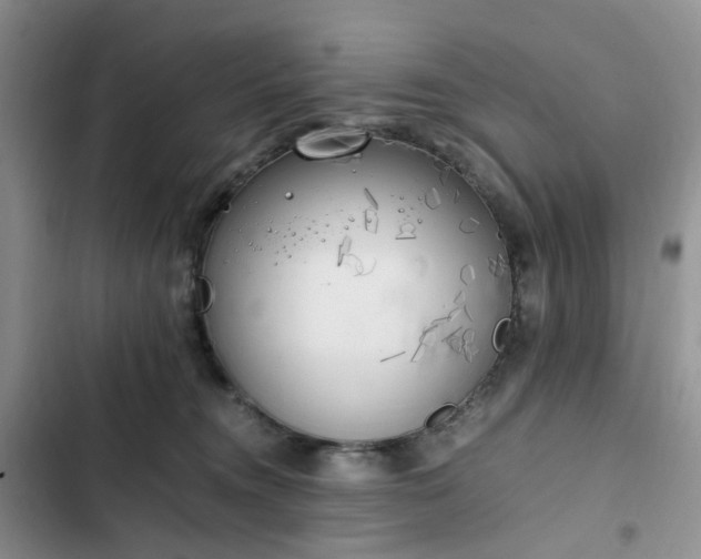 X0000102760372200808251034