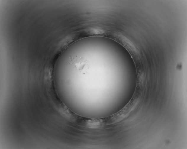 X0000102760373200808251034