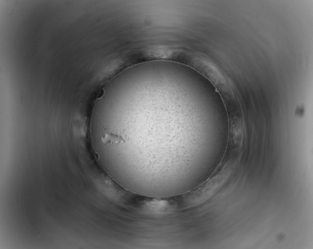 X0000102760374200808251034