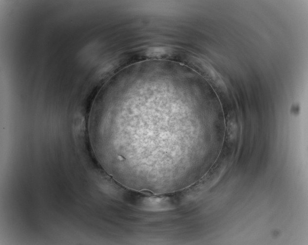 X0000102760375200808251034