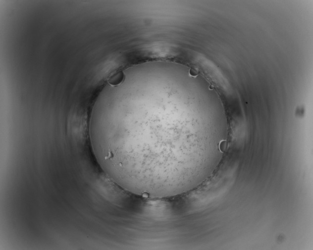 X0000102760376200808251034