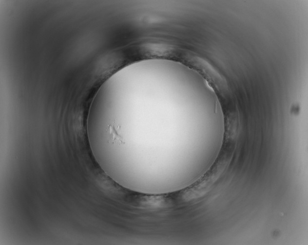 X0000102760377200808251034