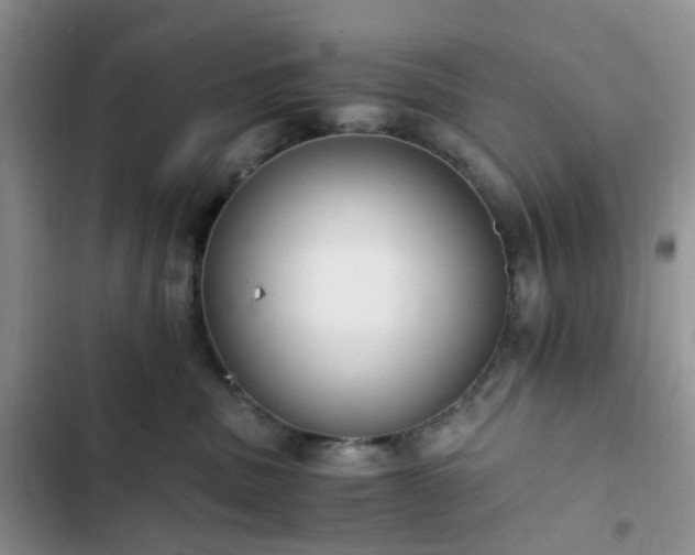 X0000102760379200808251034