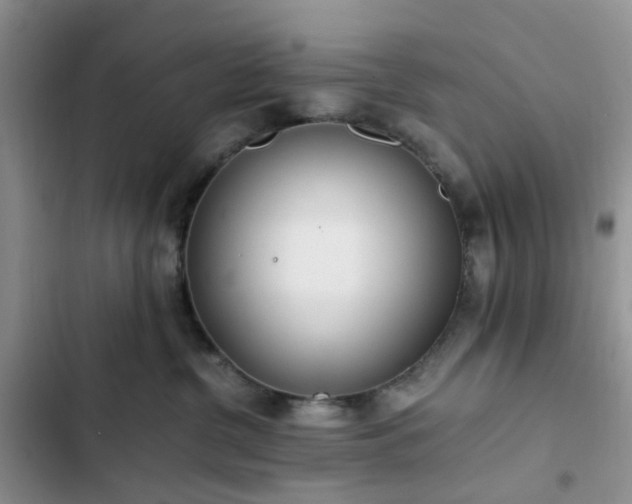 X0000102760380200808251034