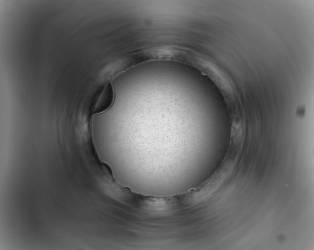 X0000102760381200808251034