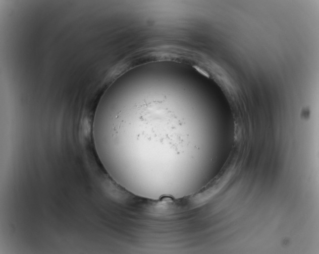 X0000102760382200808251034