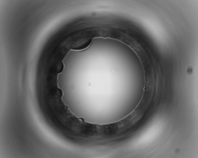 X0000102760383200808251034