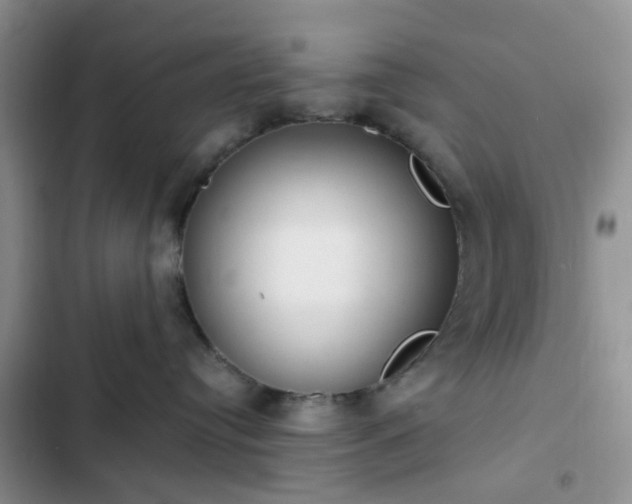 X0000102760384200808251034