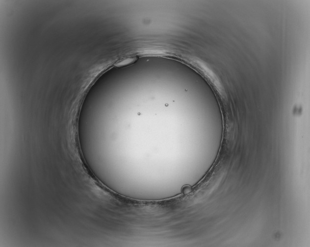 X0000102760385200808251033