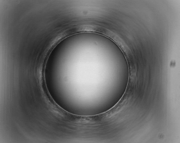 X0000102760386200808251033