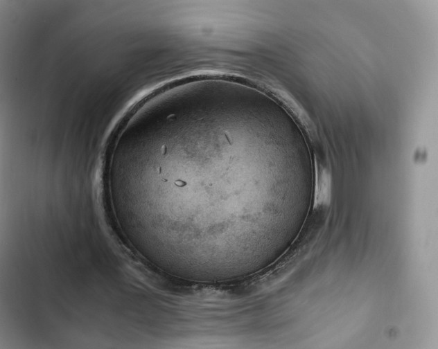 X0000102760387200808251033