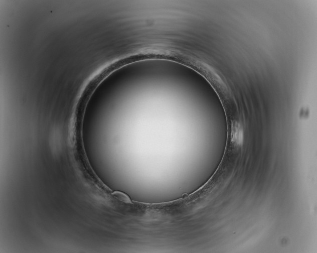 X0000102760388200808251033