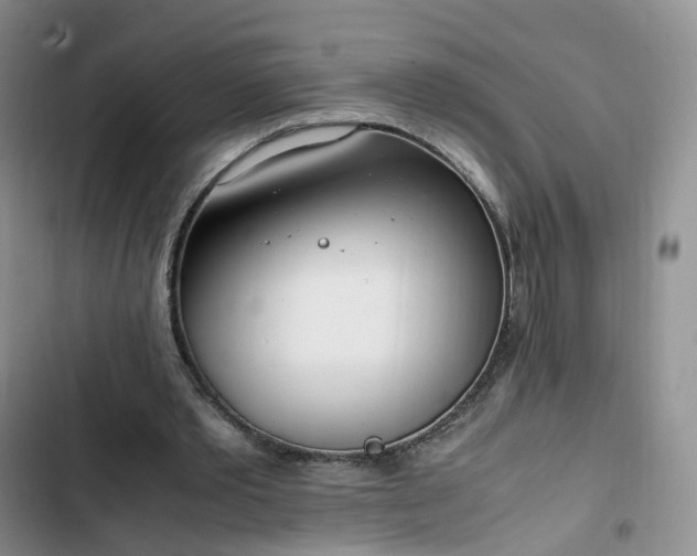 X0000102760389200808251033