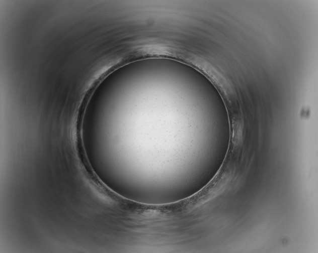 X0000102760390200808251033