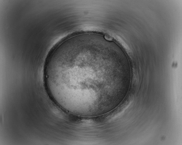 X0000102760391200808251033