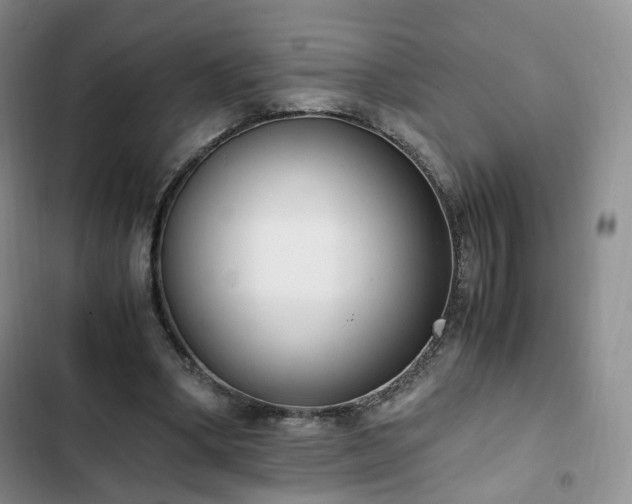 X0000102760394200808251033