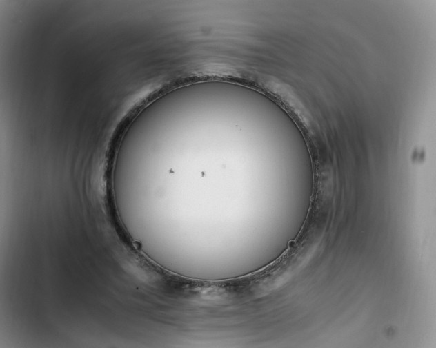 X0000102760395200808251033