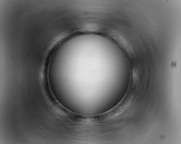 X0000102760396200808251033