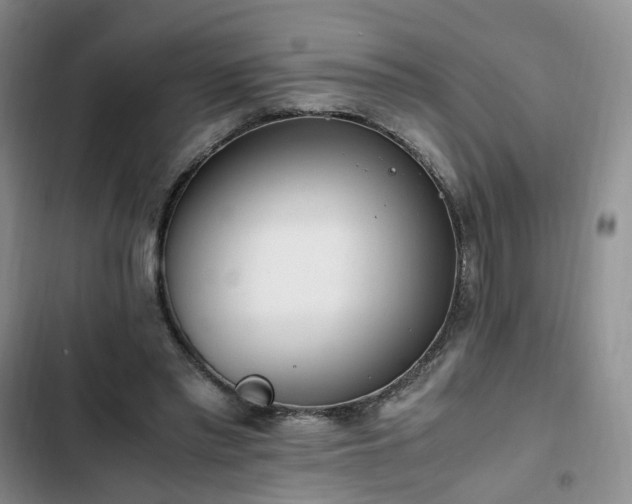 X0000102760397200808251033