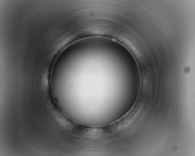 X0000102760398200808251033