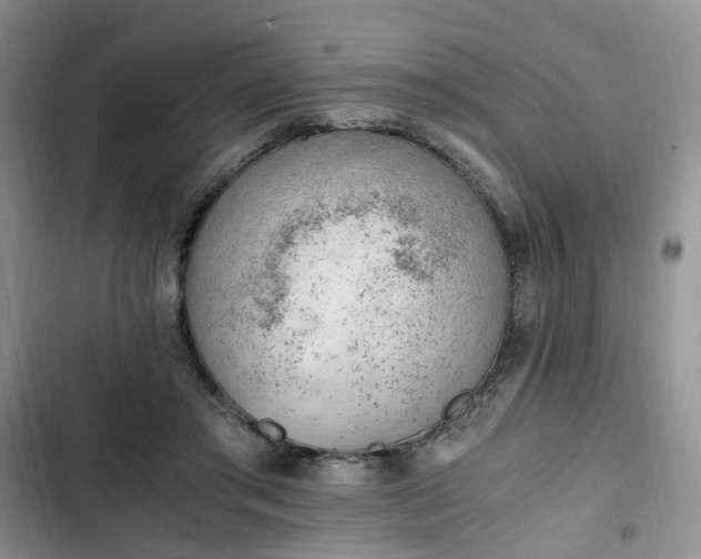 X0000102760405200808251033