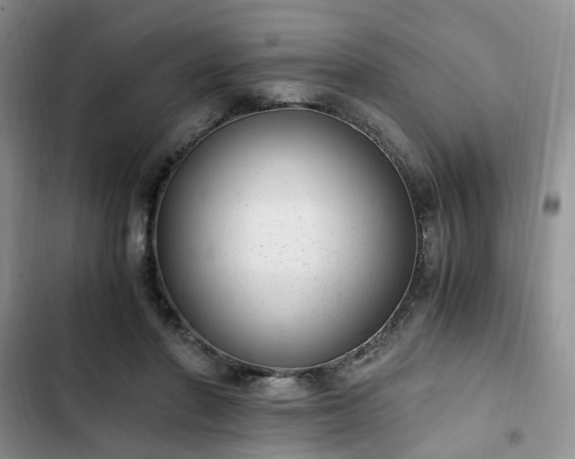 X0000102760406200808251033